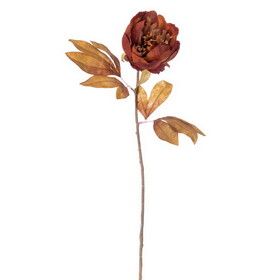 Vickerman FR235876 21" Artificial Dark Brown Peony Stem 6/Bag. Recommended for indoor use.