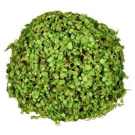 Vickerman 8" Green Mini Leaves Ball