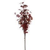 Vickerman FT229932 32