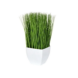 Vickerman Green Potted Grass