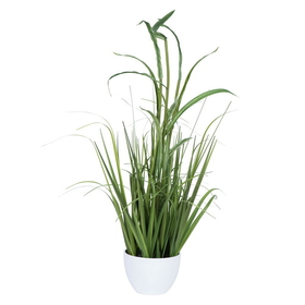 Vickerman Green Potted Bamboo Grass