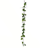 Vickerman Green Hop Leaf Spray 3/Pk