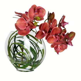 Vickerman 9.8" Orchid In Glass Pot