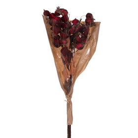 Vickerman FXT222920 20" Red Artificial Dried Fruit Bunch