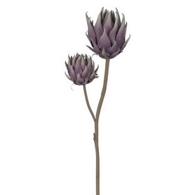 Vickerman 26.5" Light Purple Protea Stem 2/Bag