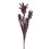 Vickerman FXT235503 28.5" Red Siam Tulip 2/Bag