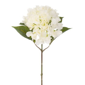 Vickerman FXT240311 20" Cream Hydrangea Stem. The Flower Head Is Made With Real Touch Material. Each Bag Contains Two Sprays.