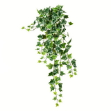 Vickerman Varigated Green Ivy Hanging Bush