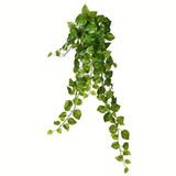 Vickerman Green Pothos Leaf Hanging Bush