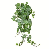 Vickerman Green & White Grape Ivy Hanging Bush