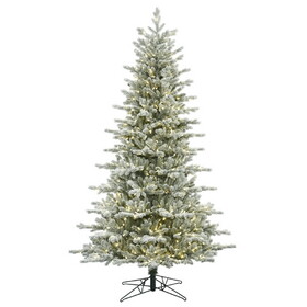 Vickerman 27" Frst Eastern Fraser Fir 429T