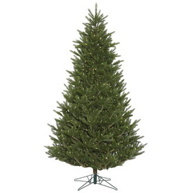 Vickerman 51" Fresh Fraser Fir 1712T