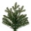 Vickerman G230865 6.5' x 52" Washington Fraser Fir 2232T