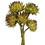 Vickerman H1ART100-9 12" Basil Artichoke on Nat Stem 9/pk