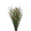 Vickerman H1BFS000 15-20" Bell Grass w/Natural Pod Bundle