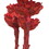 Vickerman H1ROC475 8-12" Red Rosette Compacta 5/Bundle