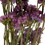 Vickerman H1SAT400 19.5" Pink Statice Flower 1.25oz Bunch, Price/each