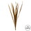 Vickerman H1SNG725 18-30" Aspen Gold Snake Grass, 12 stems per Bundle, Dried, Price/each
