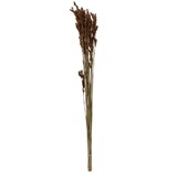 Vickerman Natural Botanicals 33