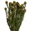 Vickerman H1TOF105 12" Natural Green Tortum 5oz Bundle