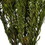 Vickerman H1TOF105 12" Natural Green Tortum 5oz Bundle