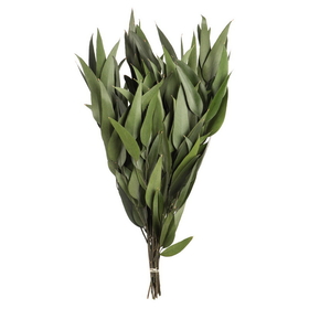 Vickerman 18" Grn Willow Eucalyptus 5-6oz Bu 2Pk