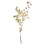 Vickerman H2CAR999 20-24" Bleached Cara Blossom Spray Bunch