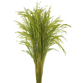 Vickerman 36" Lt Basil Congo Grass 8oz Bunch