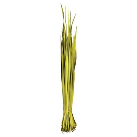 Vickerman 18-23" Basil Coco Palm Leaf Bundle.  Includes 8oz (2 -4oz Bundles) Dried