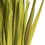 Vickerman H2CPL100-2 18-23" Basil Coco Palm Leaf 2/pk