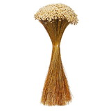 Vickerman H2SFL000 14" Dried Natural Starflower Bunch, 8 Oz. This Is A Natural Product, Dimensions And Color May Vary Plant To Plant.