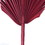 Vickerman H7PAS475 15.75-19.5" Deep Red Palm Spear 12/bag, Price/each