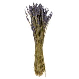 Vickerman HA5LAV560 18" Dried Light Purple Dried Lavender 3.5 Oz. Bunch. This Is A Natural Product, Dimensions And Color May Vary Plant To Plant.