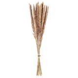 Vickerman HA5REE000 30