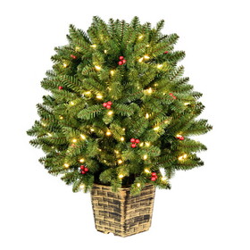 Vickerman 4' Potted Tifton Two Ball Topiary 303Tip