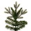 Vickerman K224055 5.5' x 36" Douglas Fir Slim 1228T