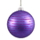 Vickerman N111209 4.75" Orchid Ball w/Glitter Asst 2/Bg