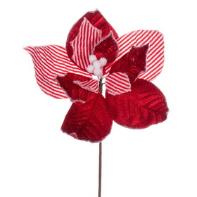 Vickerman QG227503 11" Red/White Striped Flower 6/Bg