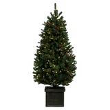 Vickerman S182751LED 5' x 32