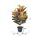 Vickerman 30" Artificial Croton Real Touch Potted Plant.