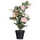 Vickerman TA181779 21" Pink Rose Plant in Pot