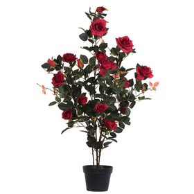 Vickerman 45" Rose Plant in Pot