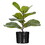 18" Green Fiddle Leaf Plant in Black Pot