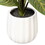 Vickerman TA222713 13" Philodendron Birkin in White Ceramic Pot.
