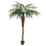 Vickerman Potted Phoenix Palm Tree 545Lvs