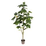 Vickerman Potted Fig Tree 45Lvs