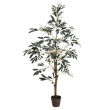 Vickerman Potted Olive Tree 408 Lvs