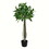 Vickerman TB190330 3' Potted Bay Leaf Topiary 252 Leaves