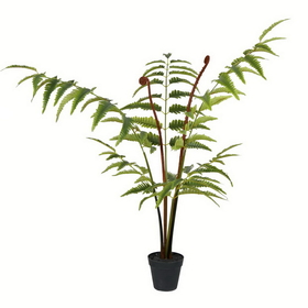 Vickerman Potted Leather Fern 78 Leaves