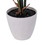 Vickerman TB230118 18" Green Monstera Plant x7 in White Pot